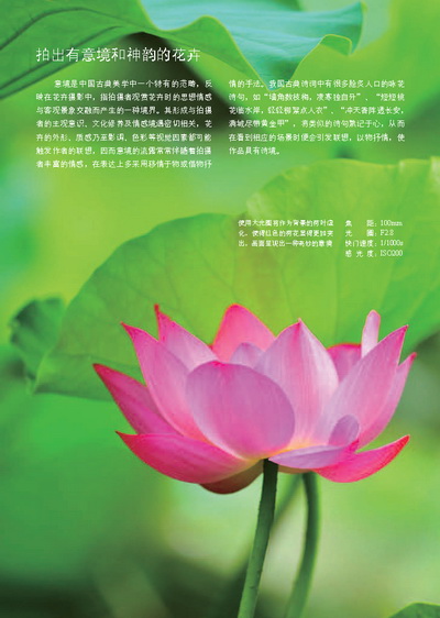 单反摄影技巧大全_数码单反实拍技巧大全_尼康d3200数码单反摄影实拍技巧大全