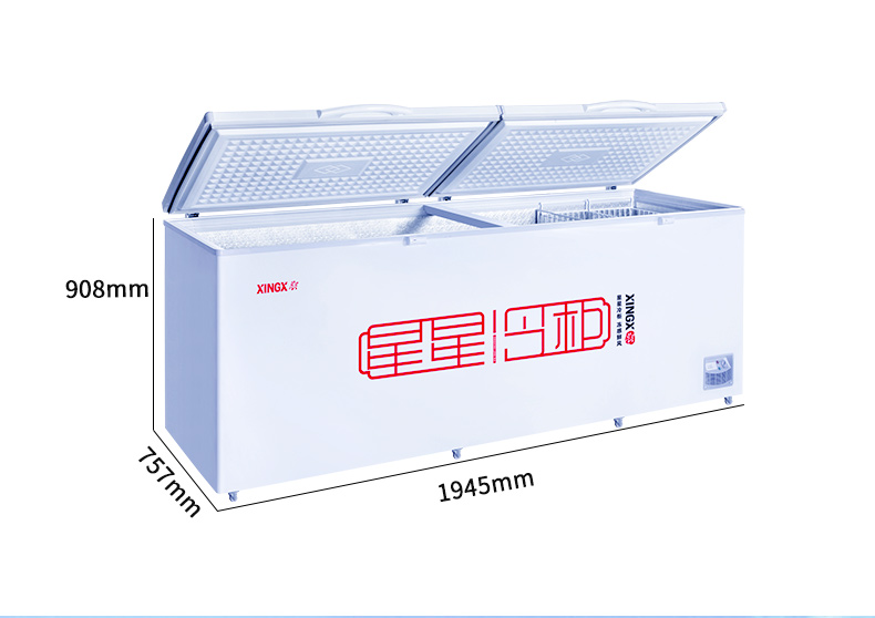 星星(xingx) 冷藏冷冻冰柜 卧式冷柜 大冰柜商用保鲜冷冻转换柜 bd/bc