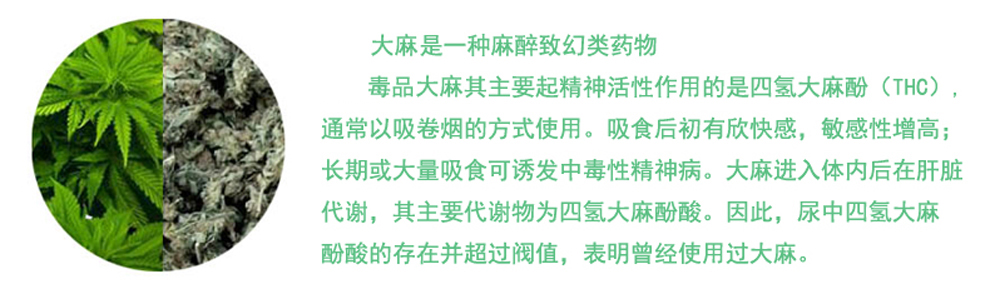 大麻/麻 验毒检测试纸查吸食毒品检测板验毒试纸大麻尿检板四氢大麻酚