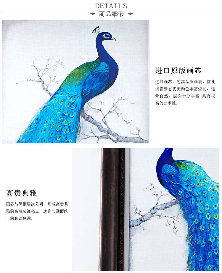 奇居良品进口画芯客厅餐厅卧室玄关装饰画挂画壁画装饰字画 蓝孔雀 装饰画蓝孔雀1 54*64cm