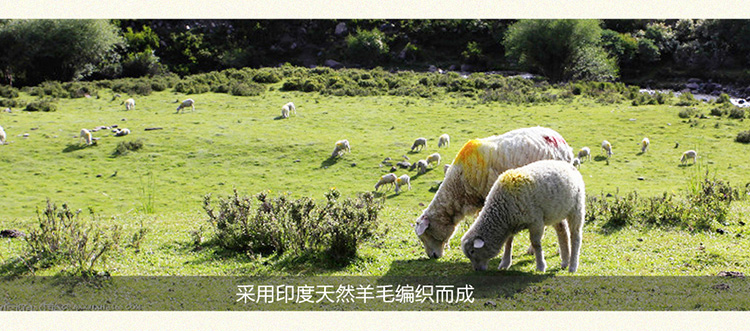
                                        优立地毯  印度进口手工羊毛地毯 欧美式客厅卧室地毯现代时尚床边毯 MAY-09 152CMX228CM                