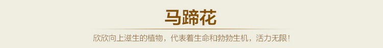 梓晨 创意可爱抱枕套沙发靠垫沙发抱枕套可加抱枕芯 咖啡伴侣 45*45cm(不含枕芯)