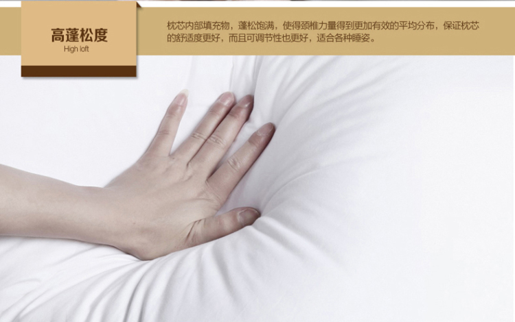
                                        欧伦皇室新款3D十字绣汽车抱枕一对沙发靠垫靠枕幽兰花草系列卧室情侣款方枕套刺绣 皇室66003单件 长0.46米*宽0.46米                