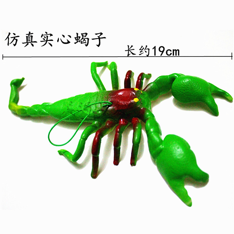 虫子仿真昆虫动物模型早教儿童塑胶玩具塑料蜘蛛蝎子蜥蜴青蛙 黑色