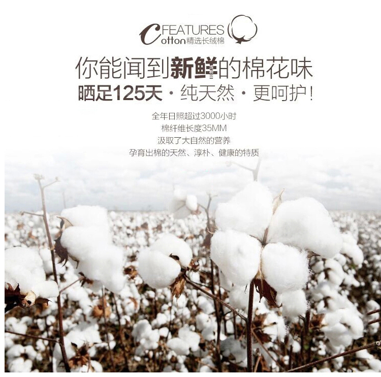 XIAO萌妹秋冬新款厚女式打底裙秋冬针织衫包臀高领毛衣女连衣裙女裙潮8560 黑色