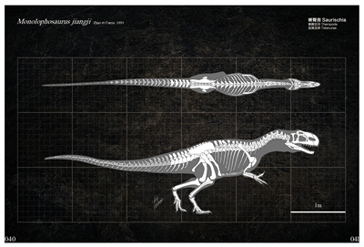 中国恐龙-古生物图鉴-1