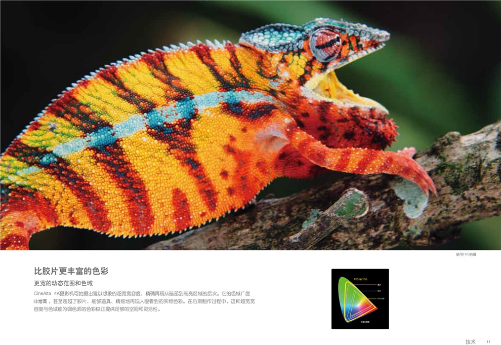 索尼 PMW-F5【报价_图片_参数_评测】_索尼