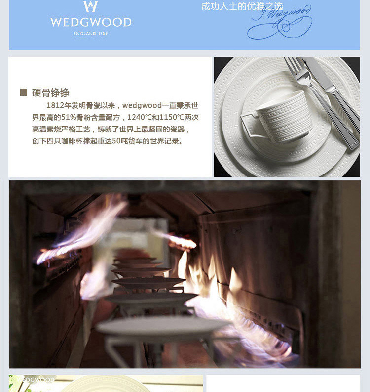 Wedgwood Cornucopia 丰饶之角 18cm 骨瓷  餐盘 单子装