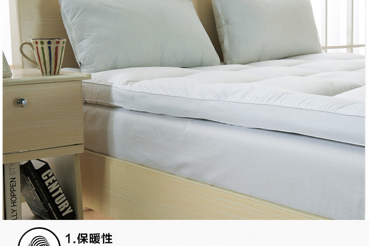 
                                        允儿羽丝绒床褥冬季学生加厚羽丝绒床垫酒店榻榻米床褥子可折叠单双人 灰-5cm 180*200                