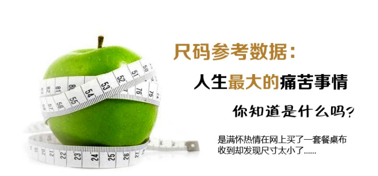 
                                        欧伦皇室 四季餐桌布茶几布台布 桌布椅套套装凳子套罩田园简约时尚布艺蕾丝碎花 花香之约 椅套(含1个椅垫+1个椅靠)(需要几套拍几个)                