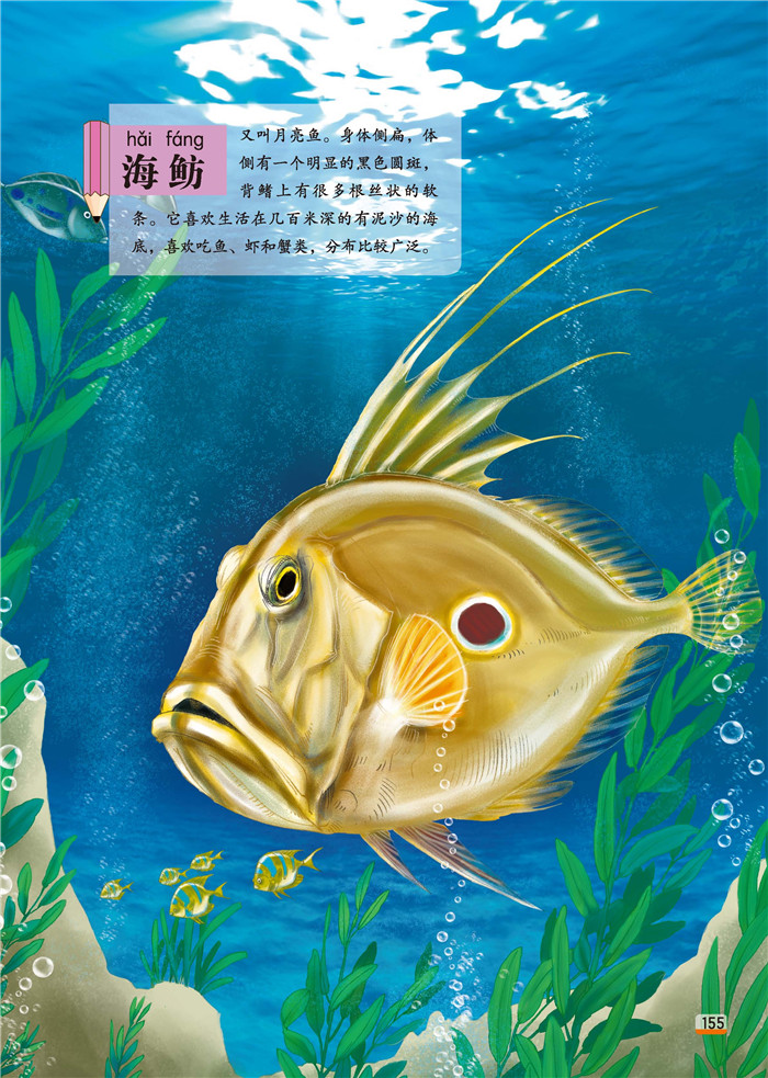 壁纸 动物 鱼 鱼类 桌面 700_983 竖版 竖屏 手机