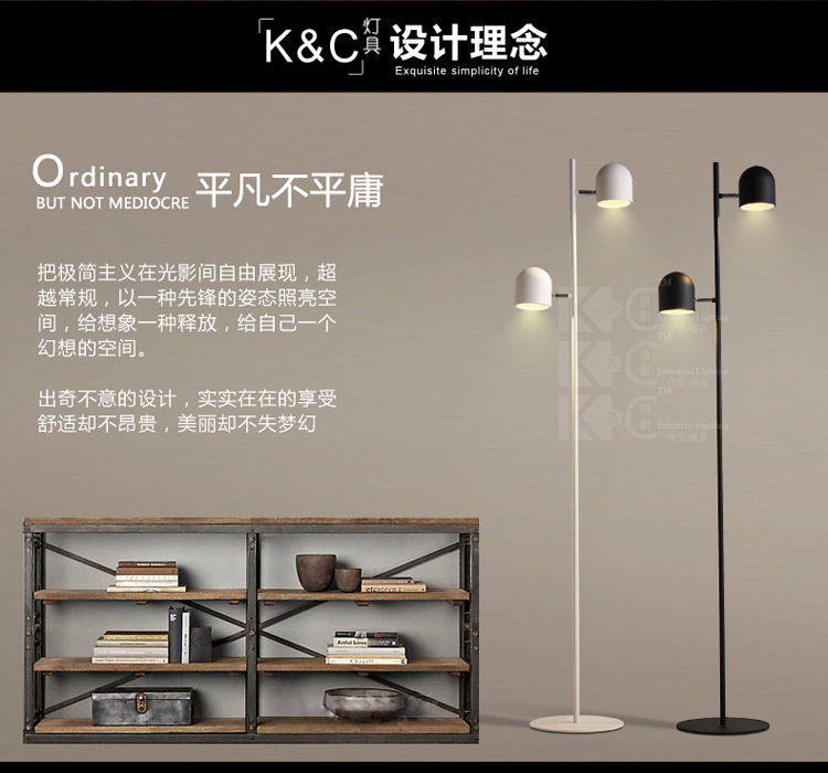 
                                        kc灯具个性北欧简约铁艺灯罩落地灯 客厅书房卧室创意落地灯 F3812-1黑色 白光                
