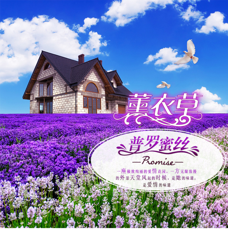 
                                        奇野客厅装饰画沙发背景墙画现代家居简约挂画花卉动物壁画 清新唯美 60x60cmx3                