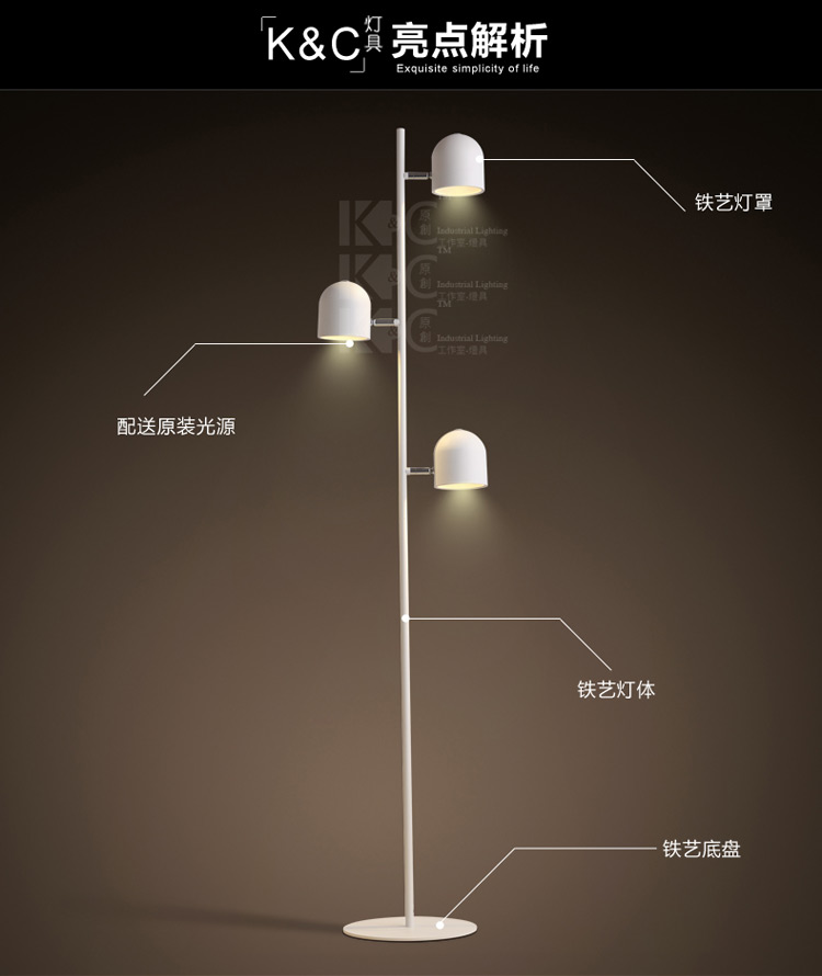 
                                        kc灯具个性北欧简约铁艺灯罩落地灯 客厅书房卧室创意落地灯 F3812-1黑色 白光                