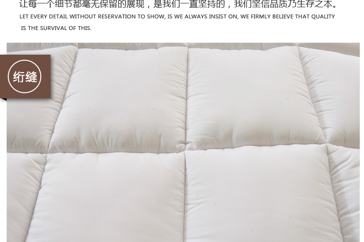 
                                        允儿羽丝绒床褥冬季学生加厚羽丝绒床垫酒店榻榻米床褥子可折叠单双人 灰-5cm 180*200                