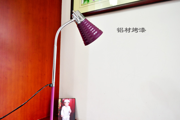 馨兴点灯 LED护眼落地灯F577-P-W紫色 现代时尚节能卧室客厅落地灯（配LED光源） 暖白光