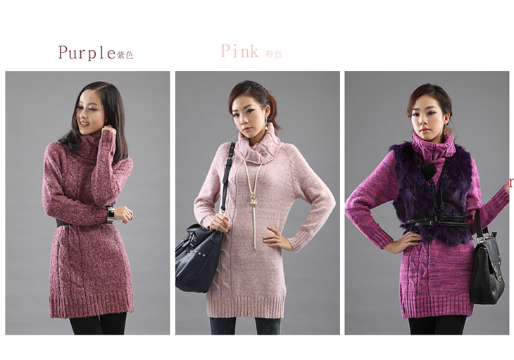 pastime2011秋冬新款 羊毛混纺加厚<em>高领</em>女式长