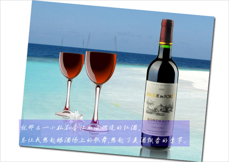 法国进口AOC贝蒂城堡漫步人生干红葡萄酒