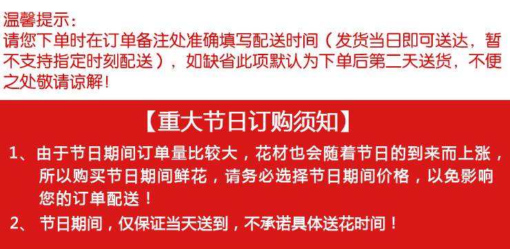  鲜花 速递 99朵精品白玫瑰  睡美人  爱情 鲜花  生