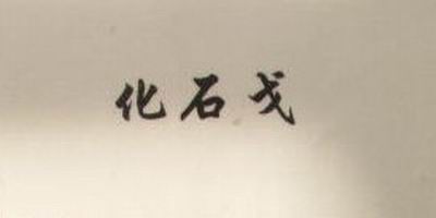 化石戈