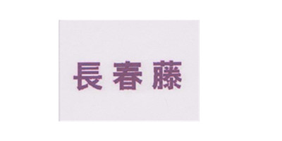 長春藤