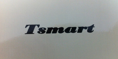迪斯瑪（TSMART）