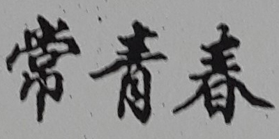 常青春（YOUTHS）