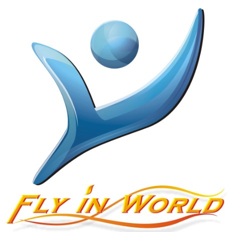 FLY IN WORLD