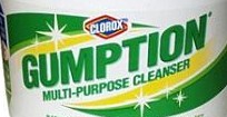 gumption