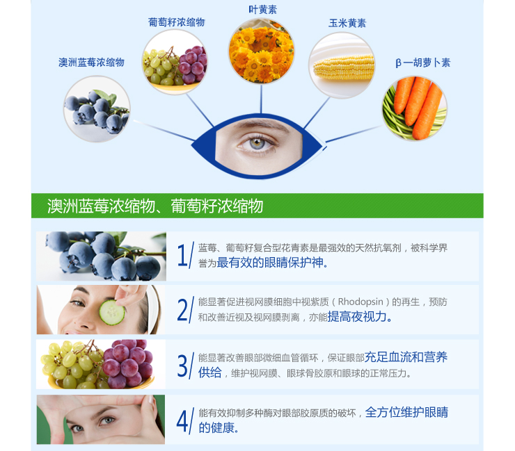 泰尔taier 蓝莓叶黄素浓缩片0.6g*90片在京东商
