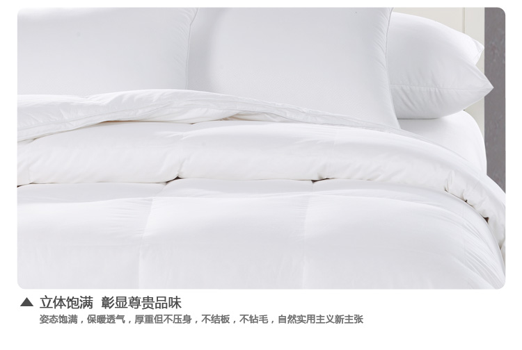 康亨 双人加厚保暖水洗白鸭绒羽绒被子 KH100