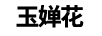 玉嬋花