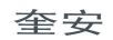 奎安