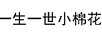 一生一世小棉花