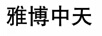 雅博中天