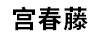 宮村藤