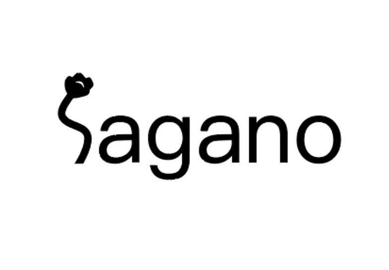 橋野（sagano）