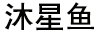 沐星魚(yú)
