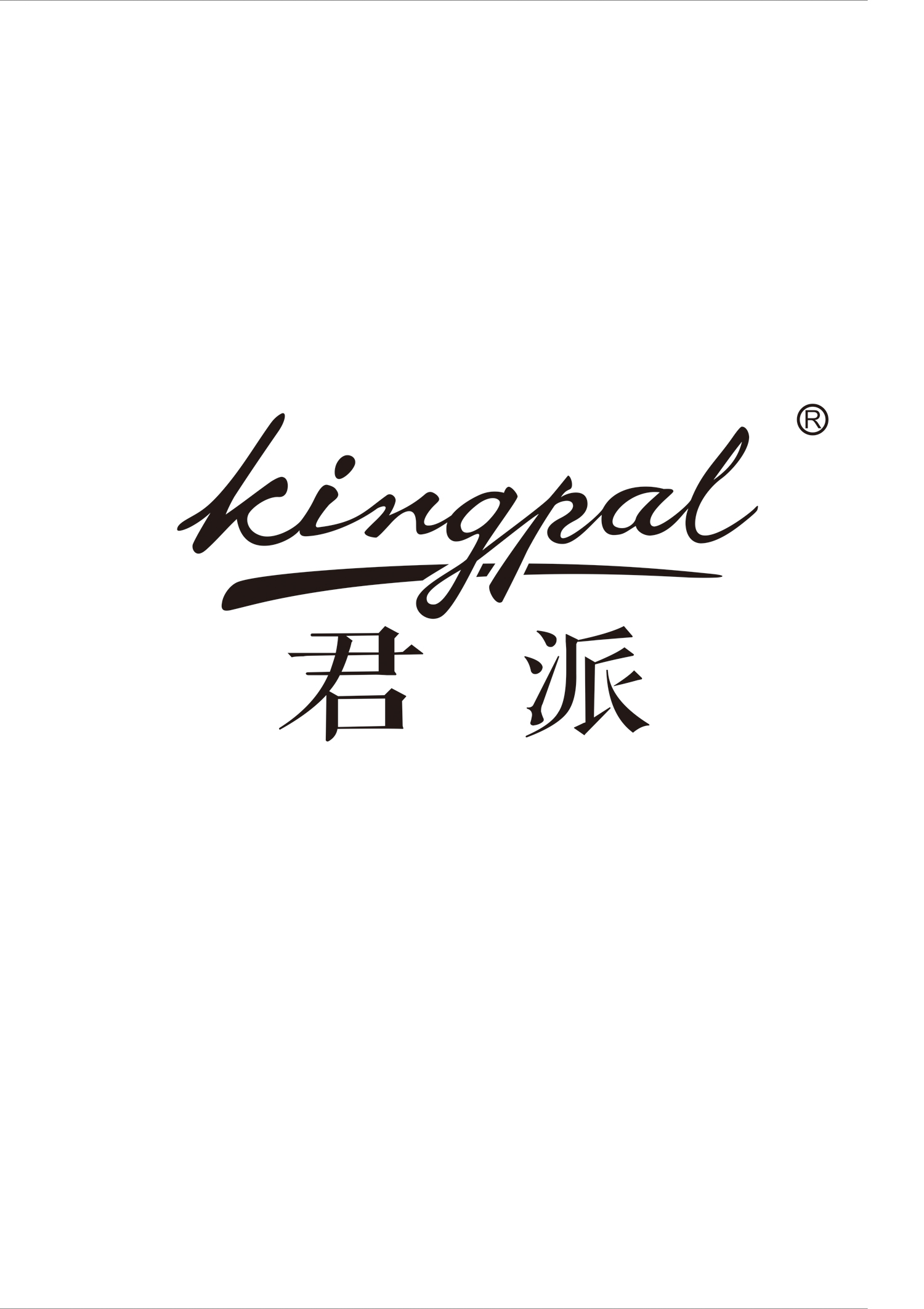 君派（kingpal）