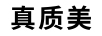 真質(zhì)美