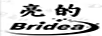 亮的（BRIDEA）