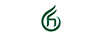 大金針