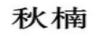 秋楠