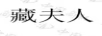 藏夫人