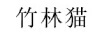 竹林貓