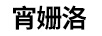 宵姍洛