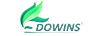 DOWINS