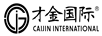 才金國際