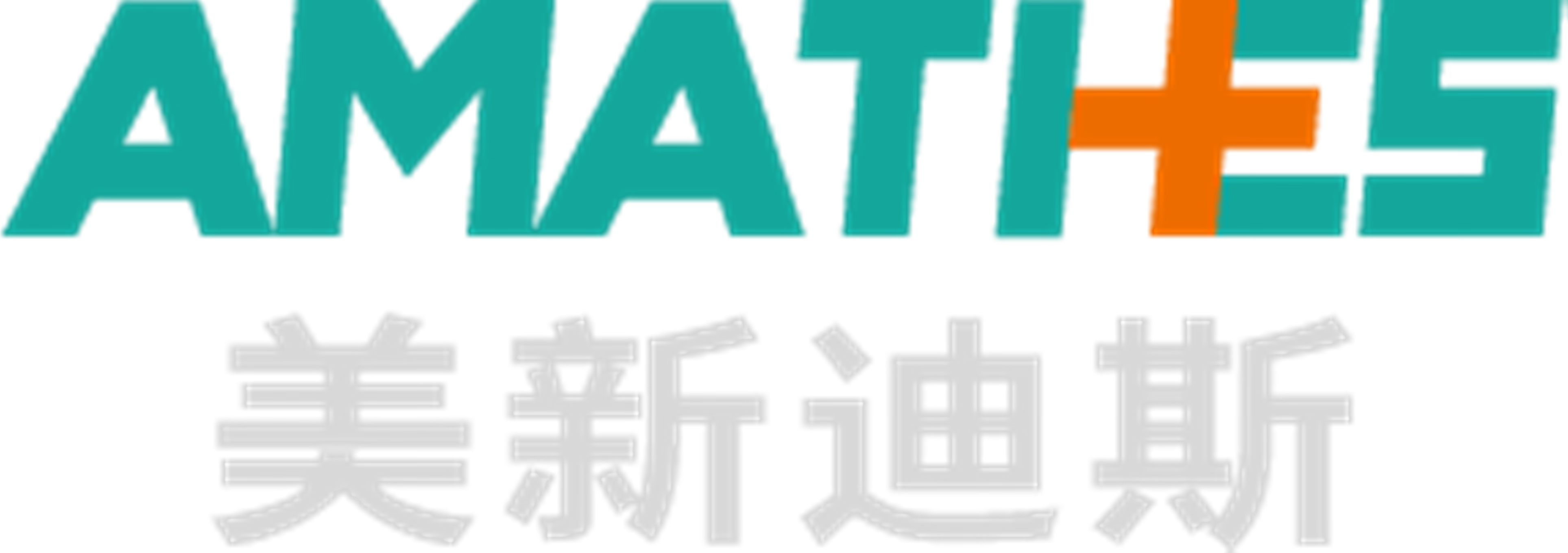 美新迪斯