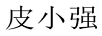 皮小強(qiáng)